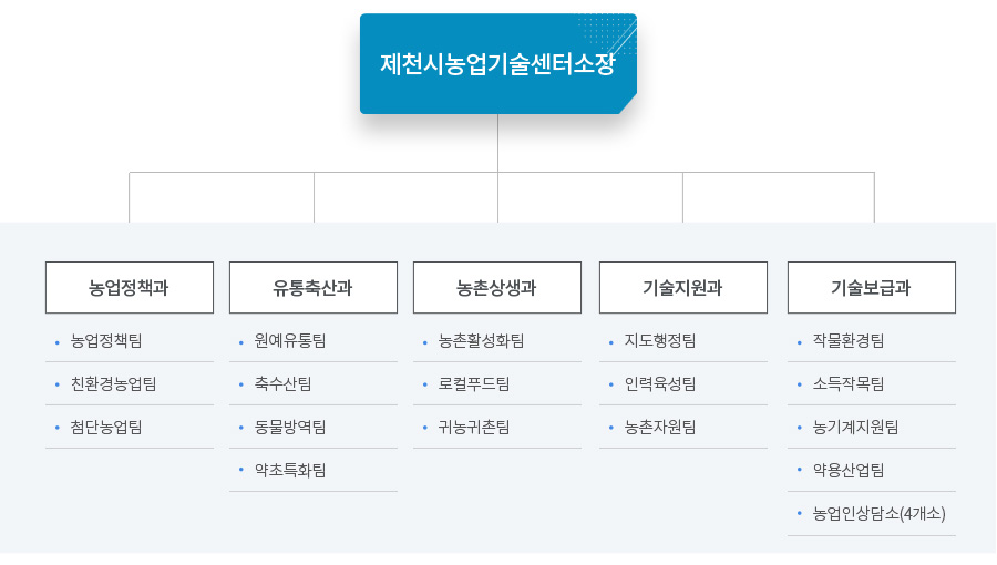 조직도