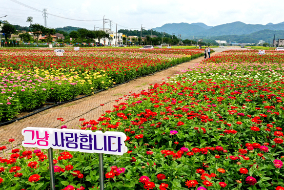 제천비행장 이미지